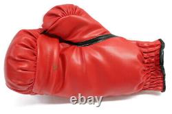 Autographed FLOYD MAYWEATHER Jr Hand-Signed Everlast Boxing Glove