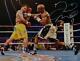 Floyd Mayweather Autographed 16x20 Vs Pacquiao Photo- Beckett Auth