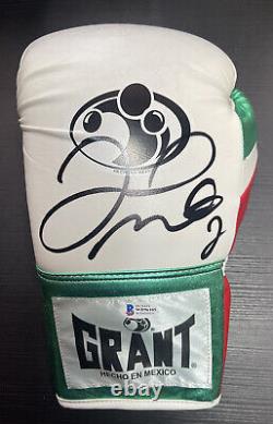 Floyd Mayweather Autographed Mexican Flag Colors GRANT Boxing Glove