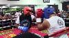 Floyd Mayweather Destroys Sparring Partners 2020 Comeback Hoopjab Boxing