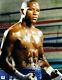 Floyd Mayweather Jr Signed Autographed 11x14 Photo Champion Sexy Abs Pose 834637