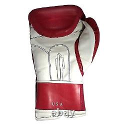 Floyd Mayweather Sr. Signed USA Flag Everlast Boxing Glove Beckett Autograph BAS