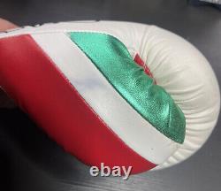 Gant de boxe GRANT aux couleurs du drapeau mexicain signé par Floyd Mayweather