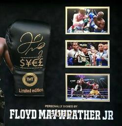 Gant de boxe signé et encadré Floyd Mayweather Jr TBE TMT AFTAL COA (M)